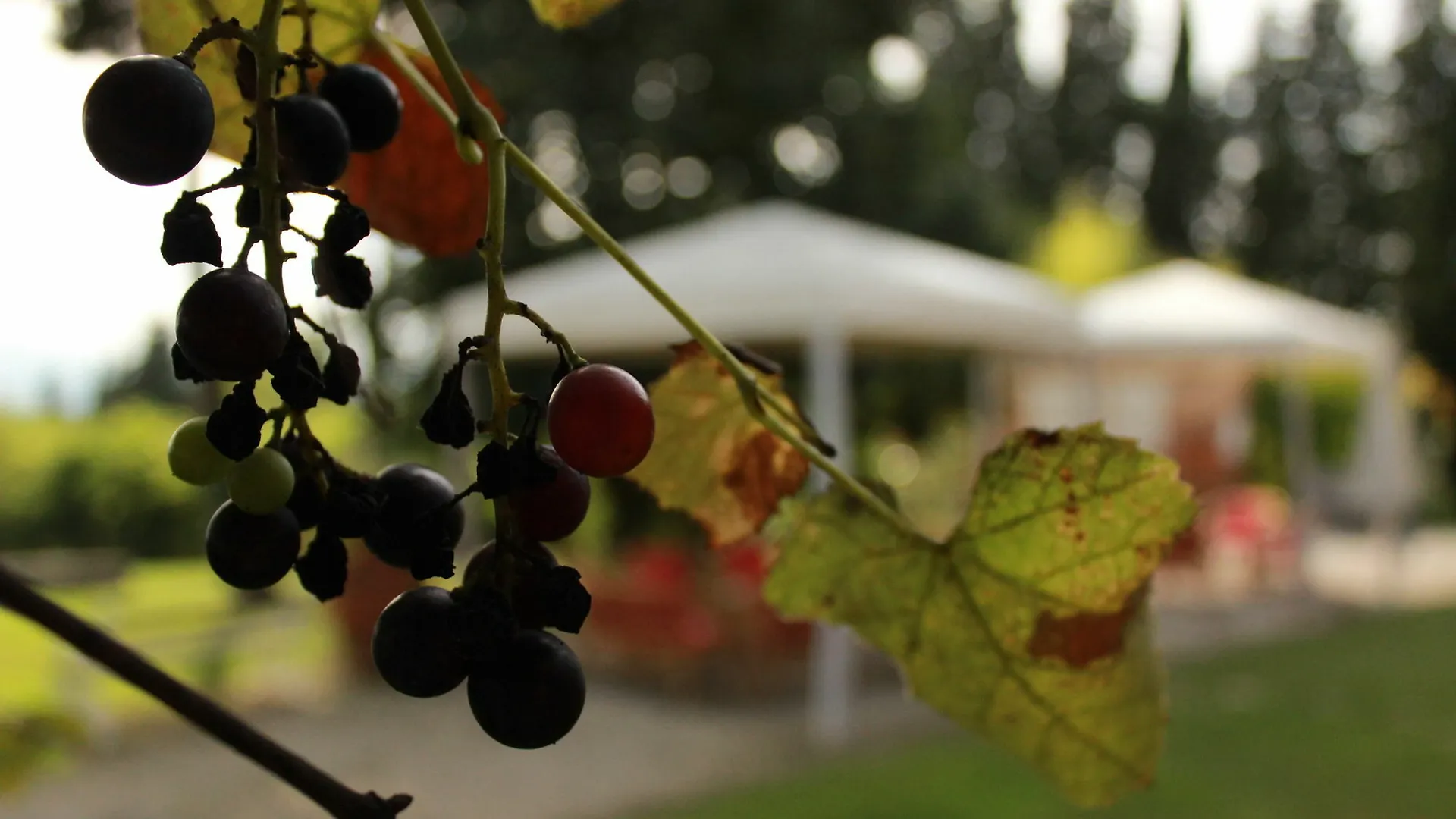 Country house Relais Del Lago Capannori